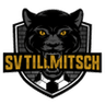 Tillmitsch