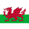 Wales U17 W